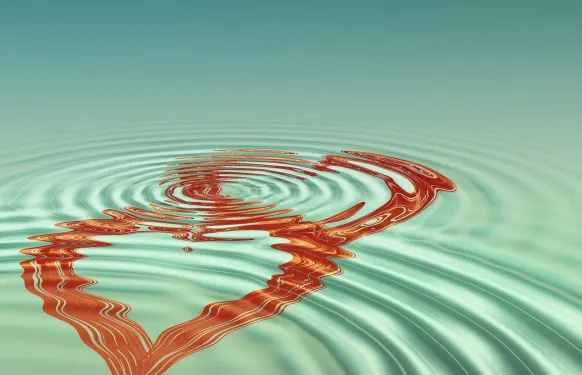 Rex Casino Assistance